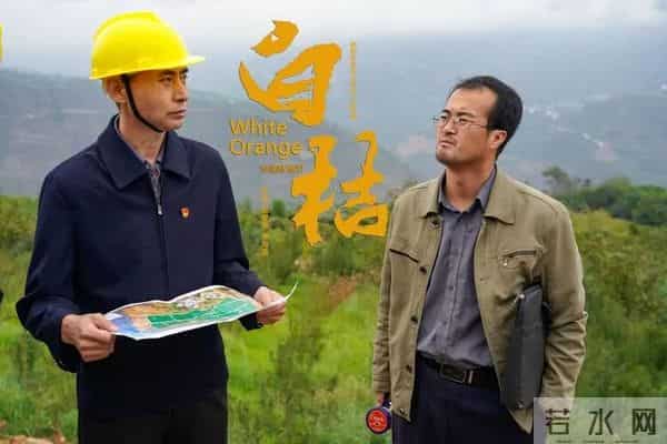 电影《白桔》今日全国温暖献映,谱写乡村振兴中的青春恋曲