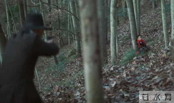 《隐锋》结局:陆淑芬牺牲,沈一禾吕文禄自相残杀,贾云英最意外