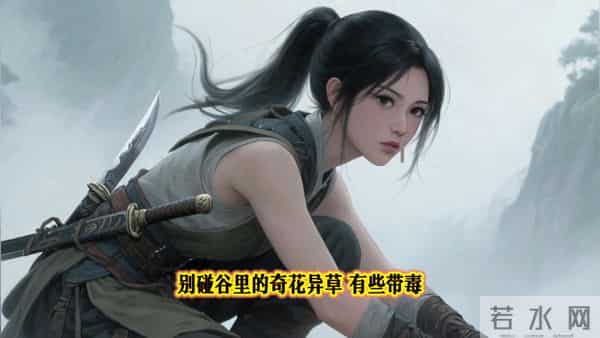 《雾隐谷的秘钥》，探秘云海深处的仙境。