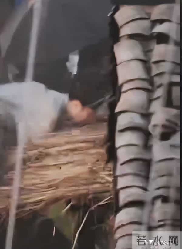 35岁成毅拍打戏受伤,腰部受重击后脑勺撞地,张晋的教训他没看懂