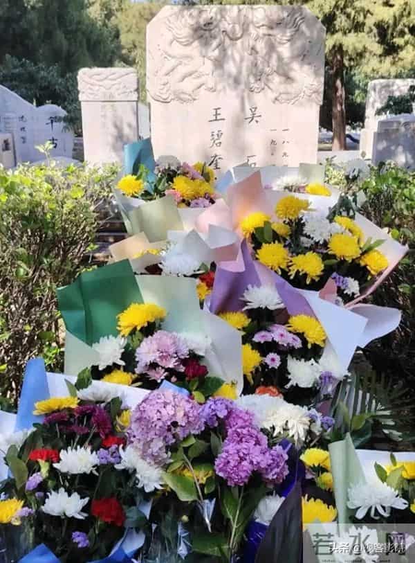 七年磨一剑,《沉默的荣耀》编剧卢敏的“还愿”与敬畏心!