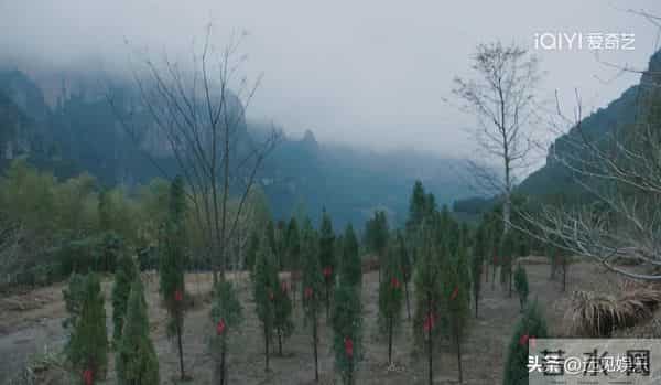 隐锋：结局，原来，这才是李亨和贾云英解除误会的真相