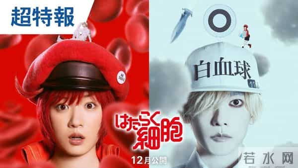 外交部一锤定音,暂停日本电影上映审批,20亿票房归零