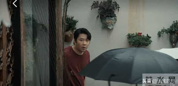 《枭起青壤》林姨啊,咱催婚催育不是这么搞的啊!