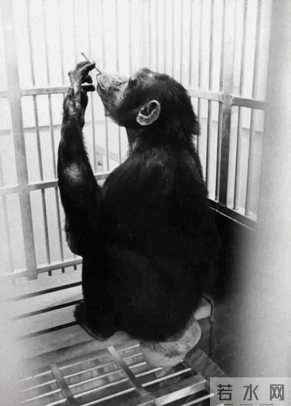 这位开宗立派的纪录片大师,用“现实虚构”抵达真实