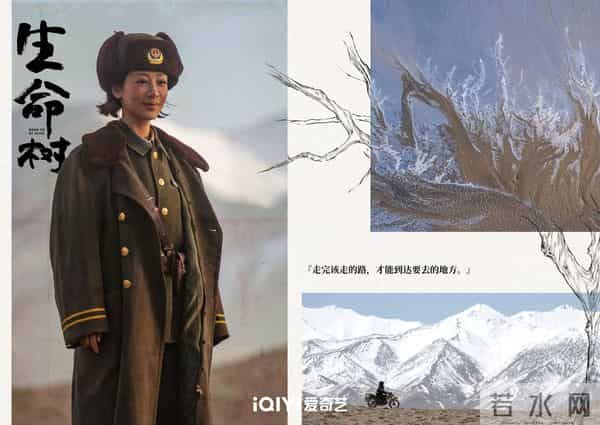 爱奇艺12-1月片单题材丰富阵容亮眼，剧迷可以提前码住啦～