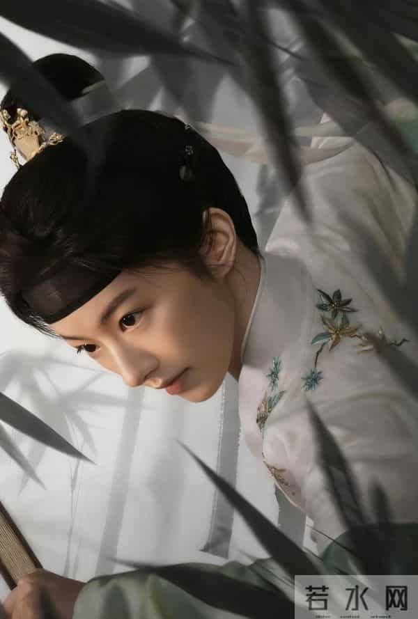 未播杀疯!《白衣公卿》反套路锦衣卫+龚俊聂远2025古装王炸预定