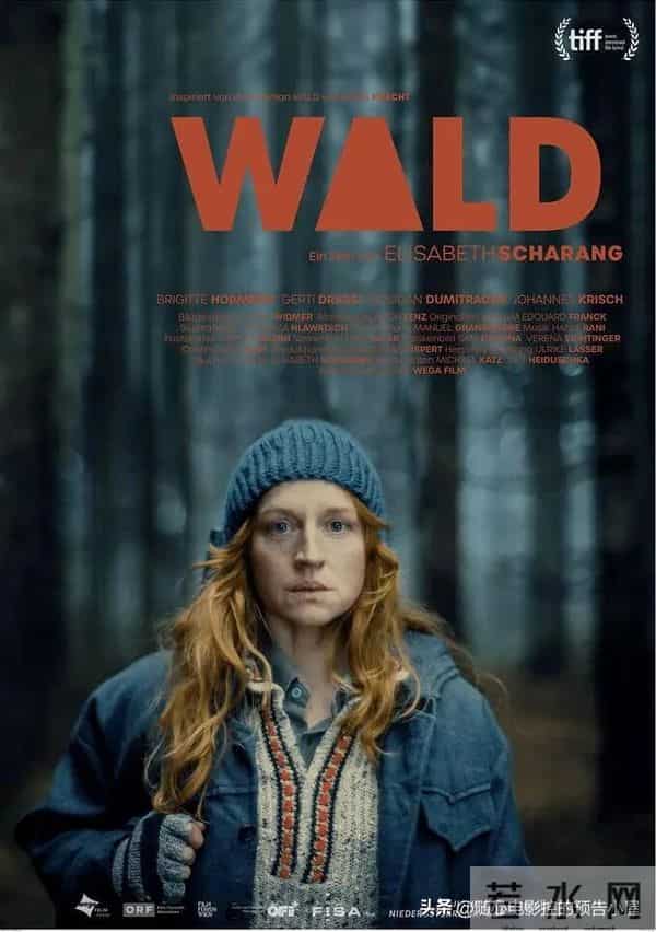 2025年11月28日上线新片汇总