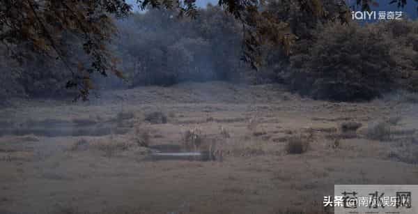 从头到脚皆可替?《大生意人》陈晓用这个镜头,给内娱上了一课