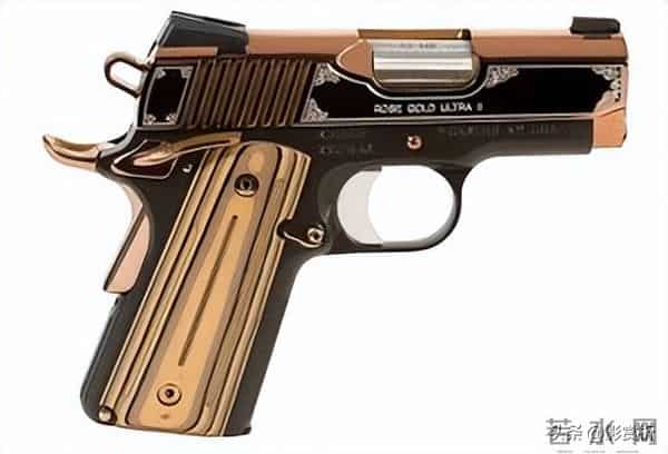 电影《制暴：无限杀机 (2025)》各种枪械武器简介大盘点