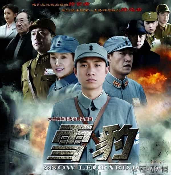 零差评的6部抗日剧，《雪豹》垫底，最后一部霸榜多年