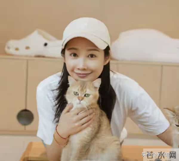 李纯马頔闪婚2个月就封神！《大生意人》播出后爆火