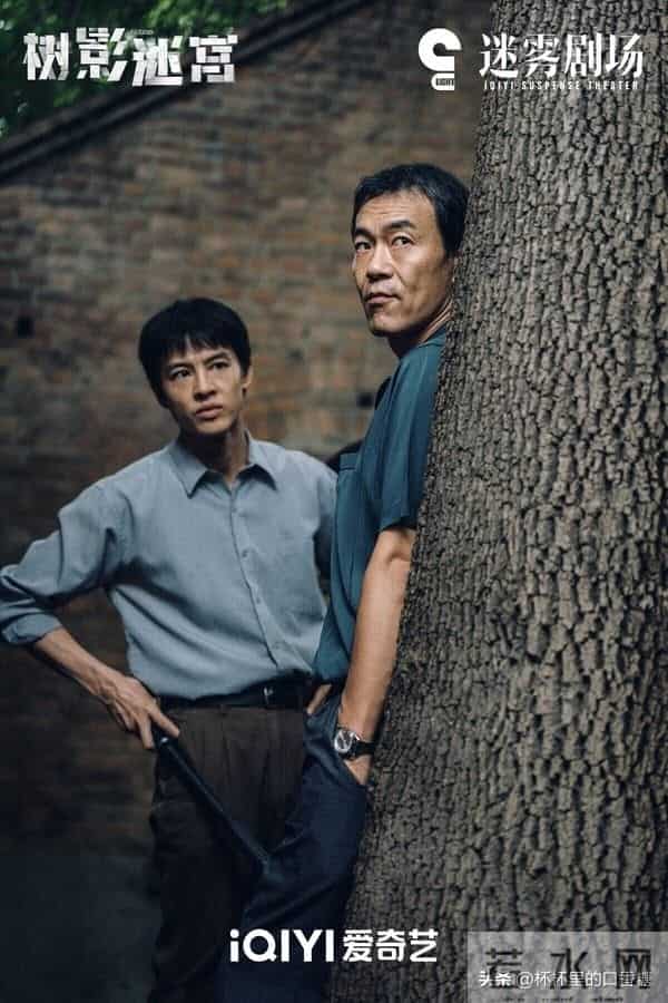 近期热门剧哪部好看？《凤凰台上》2星《他为什么依然单身》4星