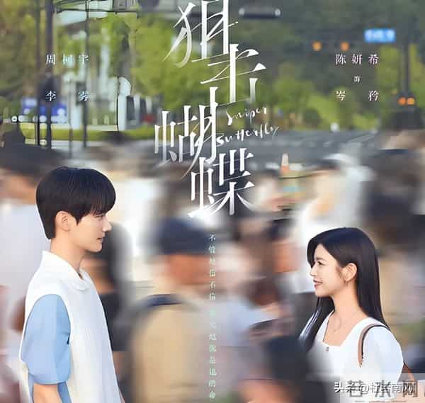 孙俪力挺陈晓新剧大生意人,与陈妍希狙击蝴蝶同期上映,你支持谁