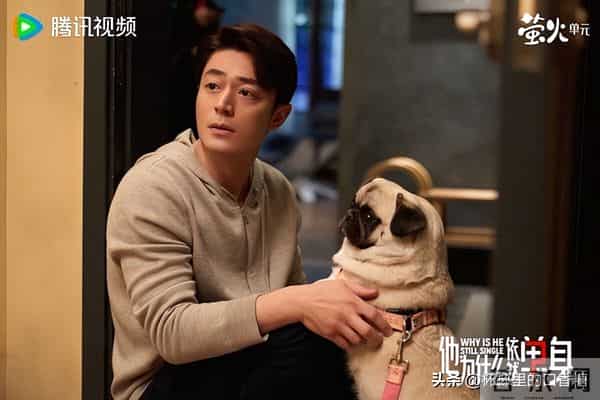10部好看到一集入坑剧！ 《他为什么依然单身》搞笑，第十部神选角