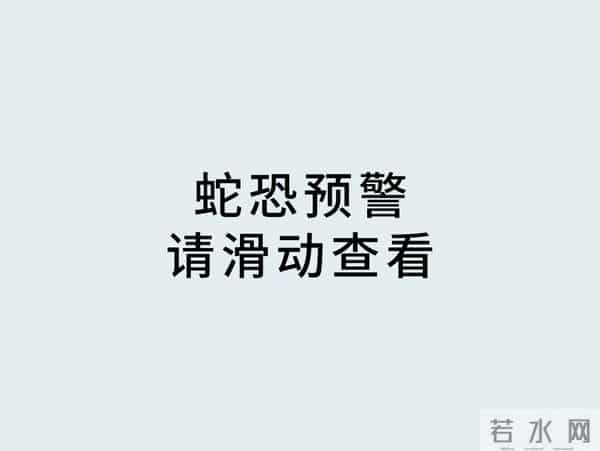 《疯狂动物城2》里，你注意到这些用心的细节了吗？