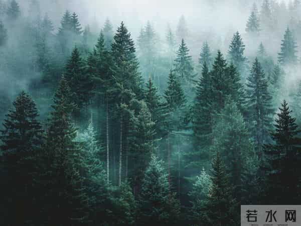 大闹一场,悄然离去。——致70后的我们