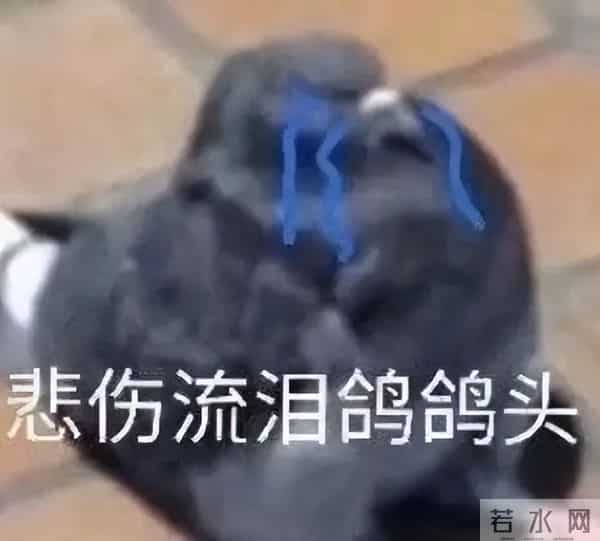 不看《狂野时代》,我的命可能都没了