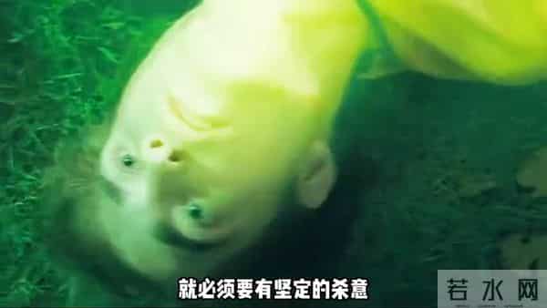 为什么斯内普的阿瓦达索命是蓝色?真正原因让人心碎