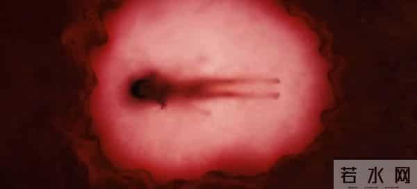 《枭起青壤》结局:炎拓分娩救妻,邢深成白瞳鬼,林喜柔伦为玩具