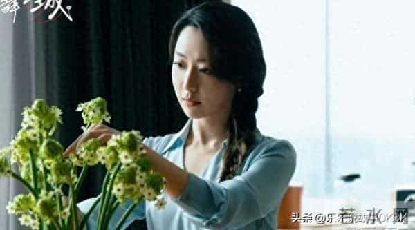 《亦舞之城》爆火真相:12年谎言撕开那刻,全网都在等高慧落网!