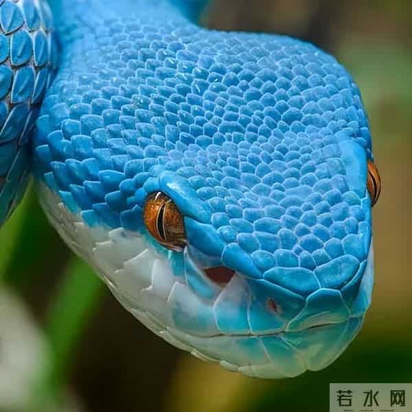 预测32亿,多亏了这些彩蛋(上)