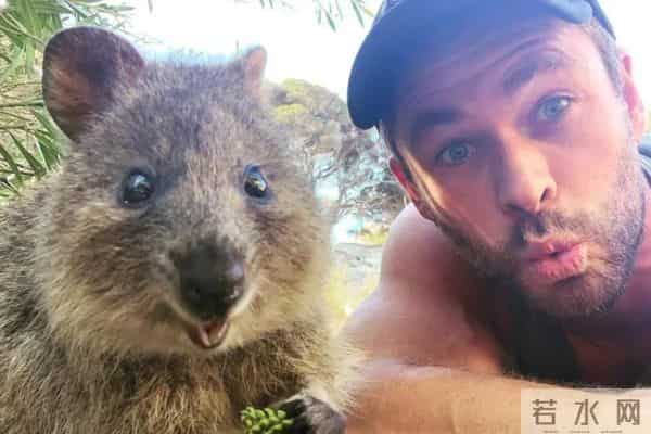 预测32亿,多亏了这些彩蛋(上)