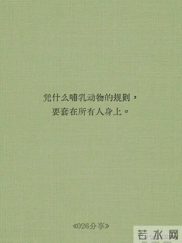《疯狂动物城 2》10 句金句戳中泪点