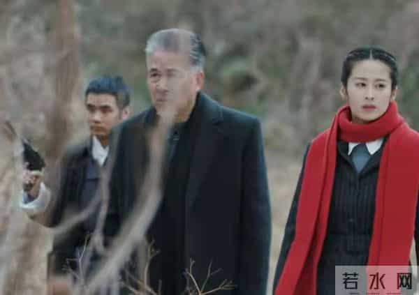 《隐锋》收官!本以为贾云英下线最遗憾,没料到核心是贾长安!