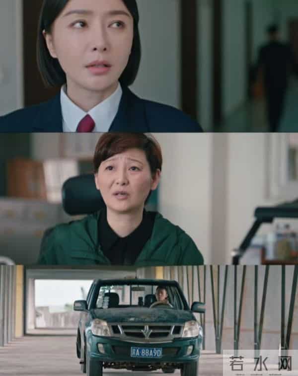 这两部犯罪悬疑剧太上头 张译秦岚陷生死局 50集真实刑警案熬夜追完