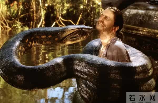 《疯狂动物城2》之后,更炸的大片来了