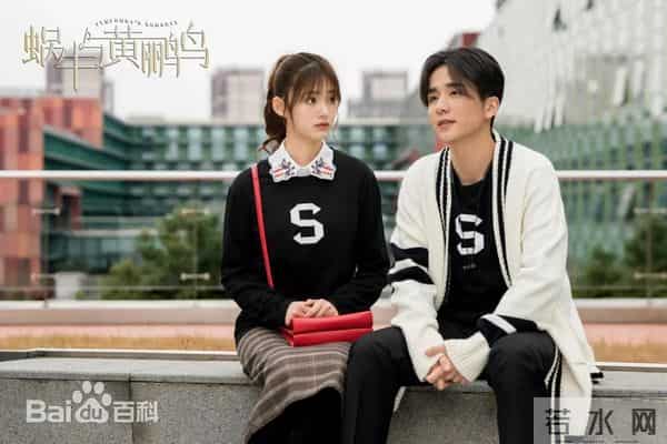 心动加载中:四部高甜现偶剧封神指南