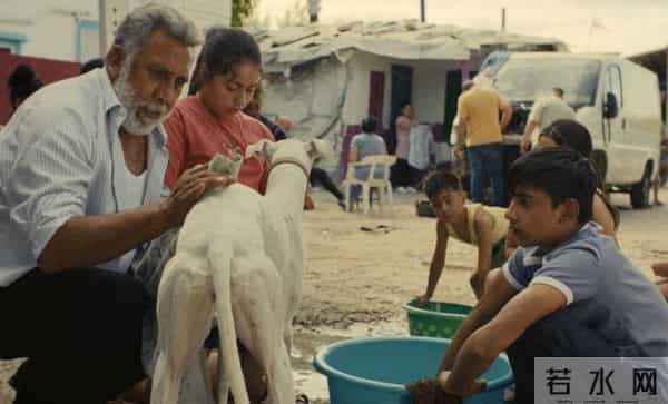 第七届海南岛国际电影节全片单粹选|电影的地图