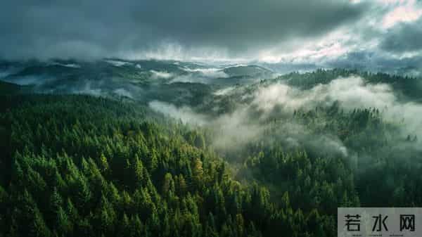 大闹一场,悄然离去。——致70后的我们