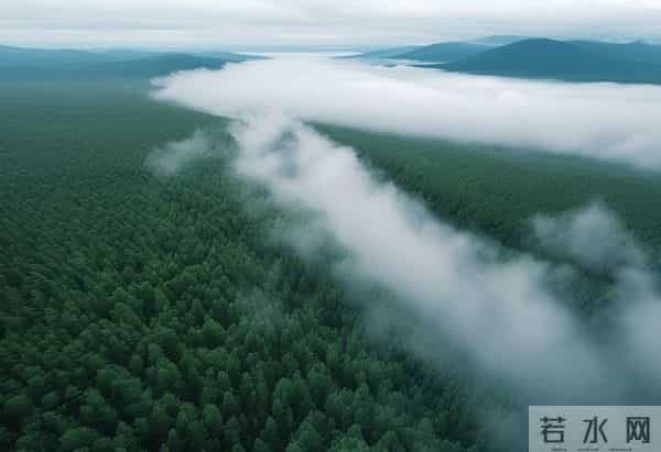 大闹一场,悄然离去。——致70后的我们