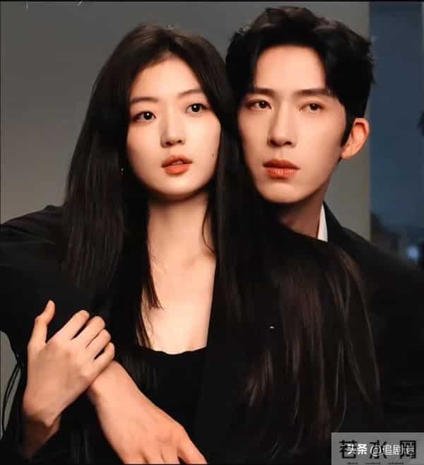 16集大剧！热度破5000，井柏然令观众成功入坑，都市剧有天花板了