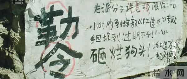 豆瓣评分9.1，纯爱电影的天花板，1980年老爹带儿子花80块吃饭