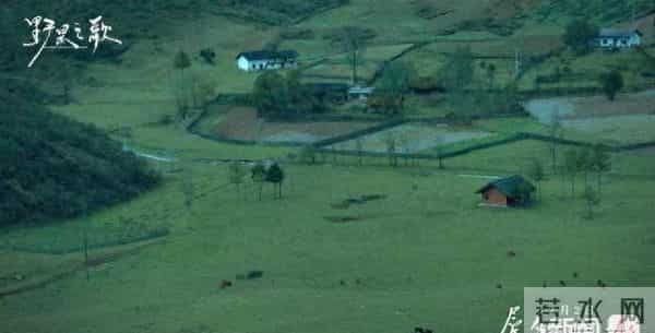 这部由汉中人导演的电影将全国公映