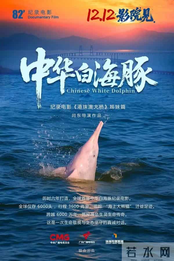 《得闲谨制》《阿凡达3》等50余部电影锁定贺岁档，你最期待哪一部