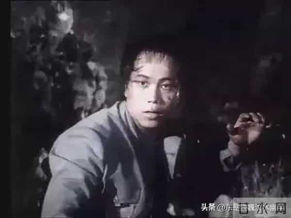 梁小龙与陈真——银幕内外的热血传奇