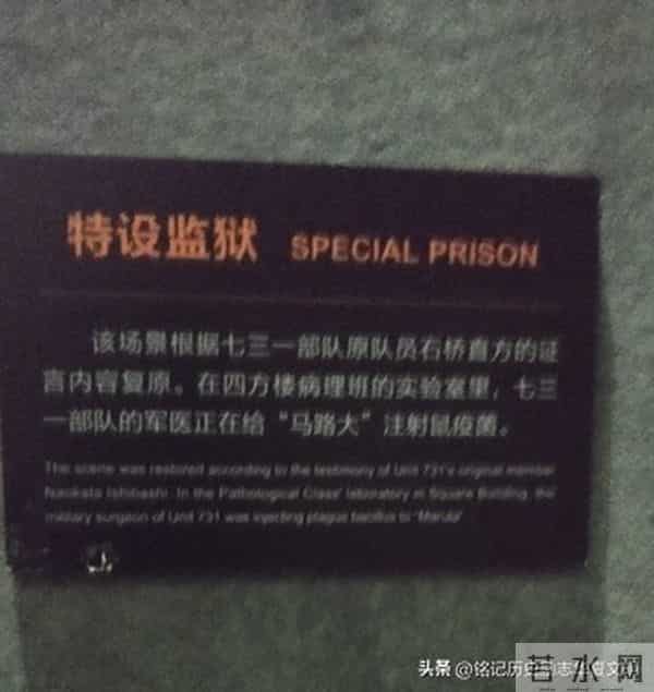 《不敢二刷!731部队的滔天罪行,每一秒都在刺痛国人》