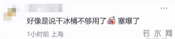 无合作却爆火!DQ成《疯狂动物城2》最大赢家?