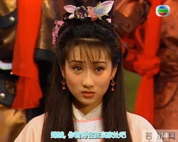 90年代到21世纪初的香港连续剧的绿叶美女
