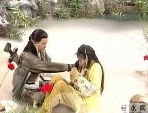 神雕廿九情 痴恋照江湖