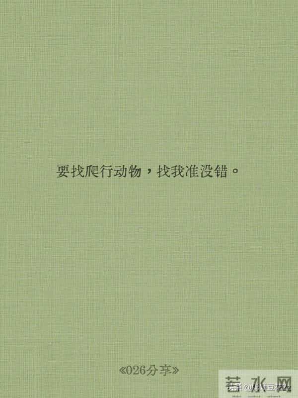 《疯狂动物城 2》10 句金句戳中泪点