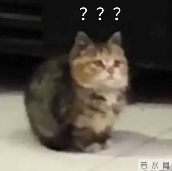 不看《狂野时代》,我的命可能都没了