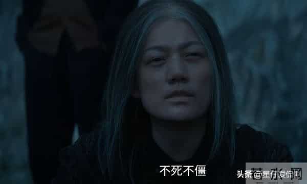 枭起青壤：李月英害死没脱根的人形枭，足见她没长脑子！