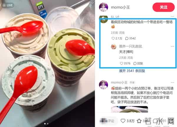 无合作却爆火!DQ成《疯狂动物城2》最大赢家?