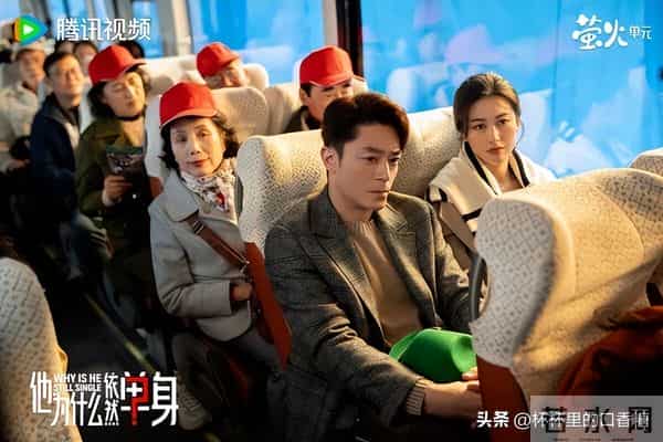 11月网播量TOP10! 《他为什么依然单身》落榜,《凤凰台上》第六