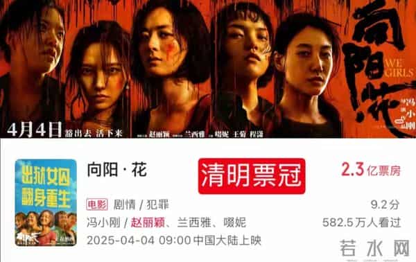 赵丽颖的2025年:从“古偶女王”到“全域演员”的完美蜕变